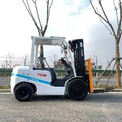 TCM FD 30