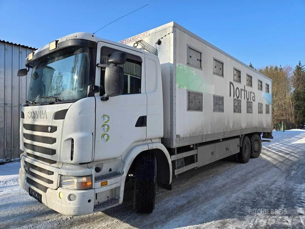 Scania G440 Állatszállító teherautók