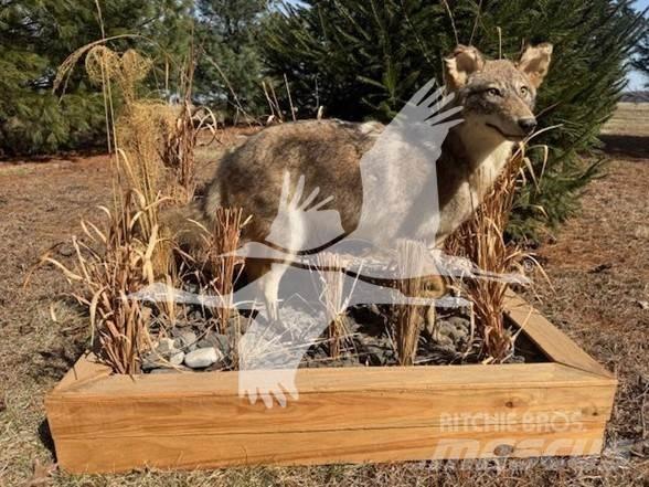Coyote  Építőipar - Egyebek