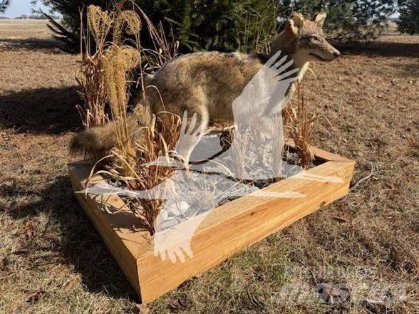 Coyote  Építőipar - Egyebek