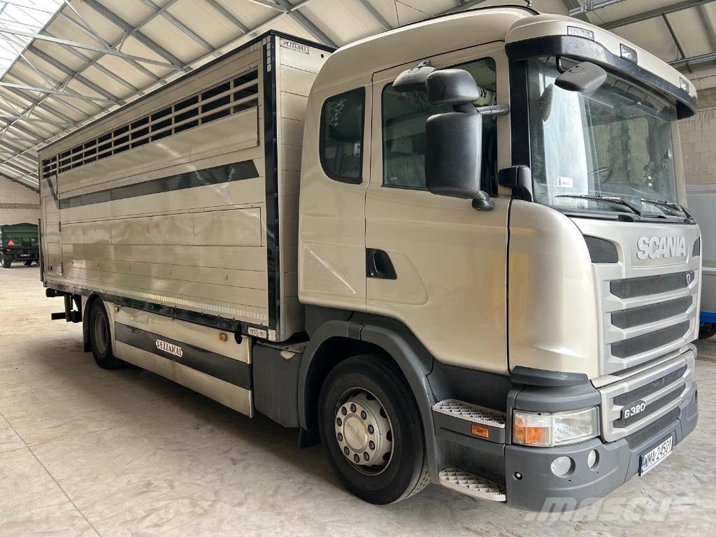 Scania G 320 Állatszállító teherautók