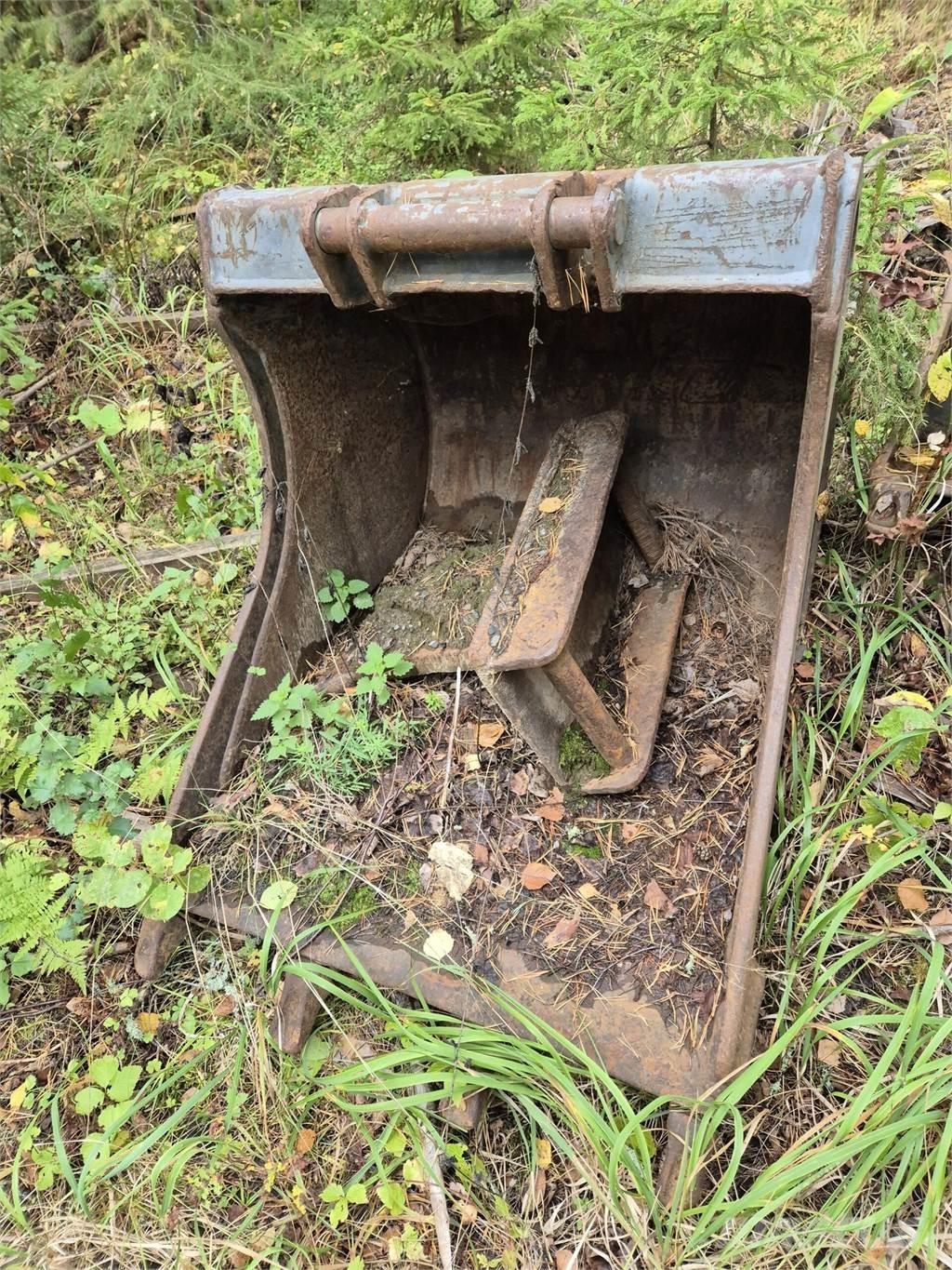 Lännen kynsikauha Kanalak