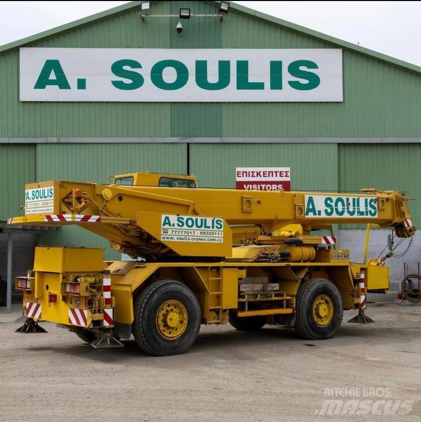 Liebherr LTM 1035 Terepdaruk