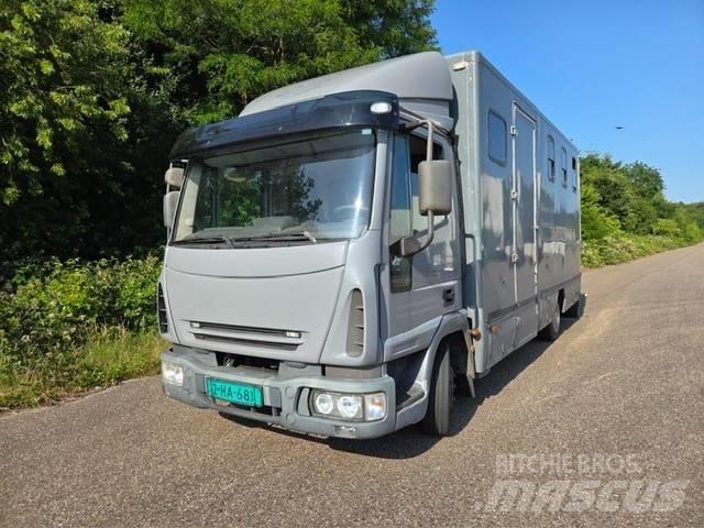 Iveco E 75 Állatszállító teherautók