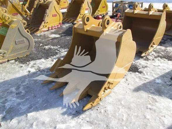 Tiger  Kanalak