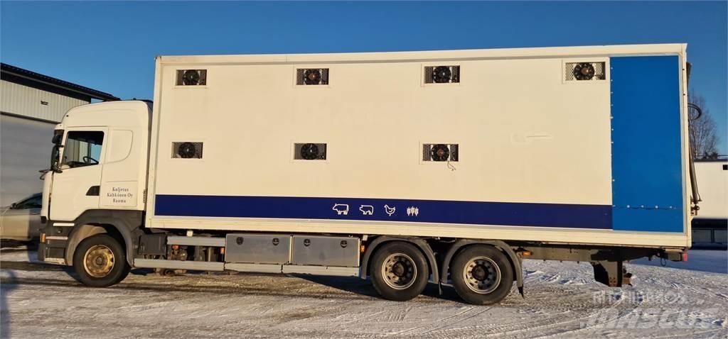 Scania R450 Állatszállító teherautók