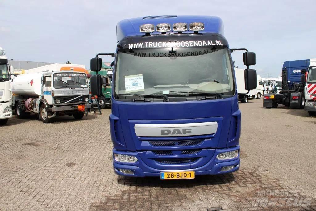 DAF LF 230 + EURO 6 Dobozos teherautók