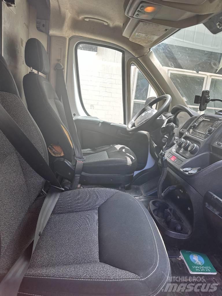 Dodge promaster Dobozos teherautók