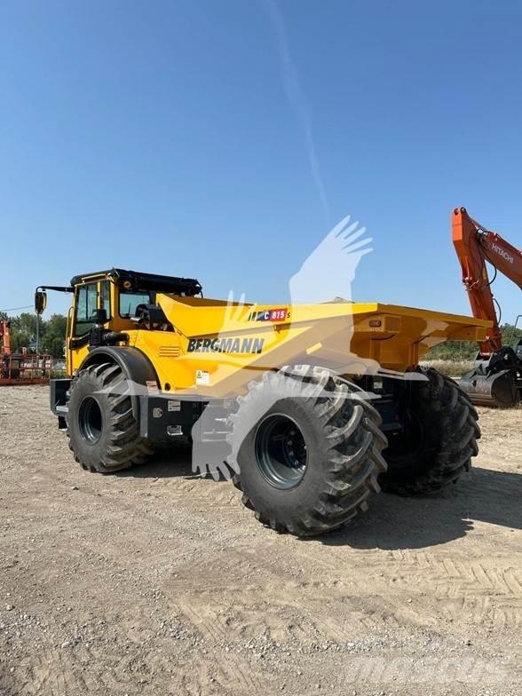 Bergmann C815S Csuklósdömperek