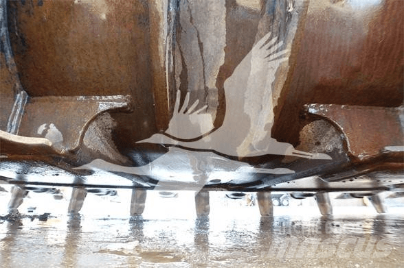 CAT TB LINKAGE Kanalak