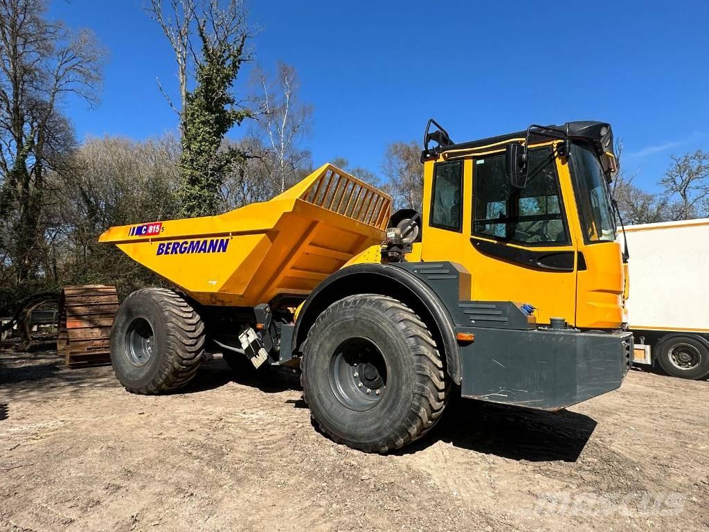 Bergmann C815S Csuklósdömperek