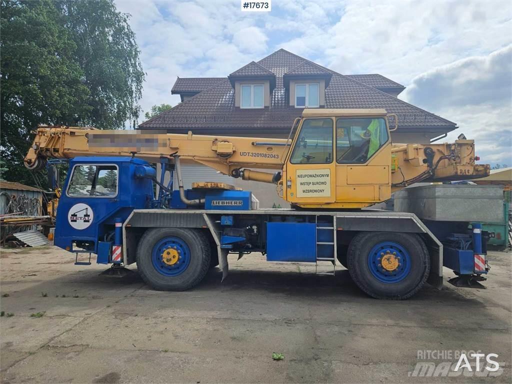 Liebherr LTM 1025 Terepdaruk