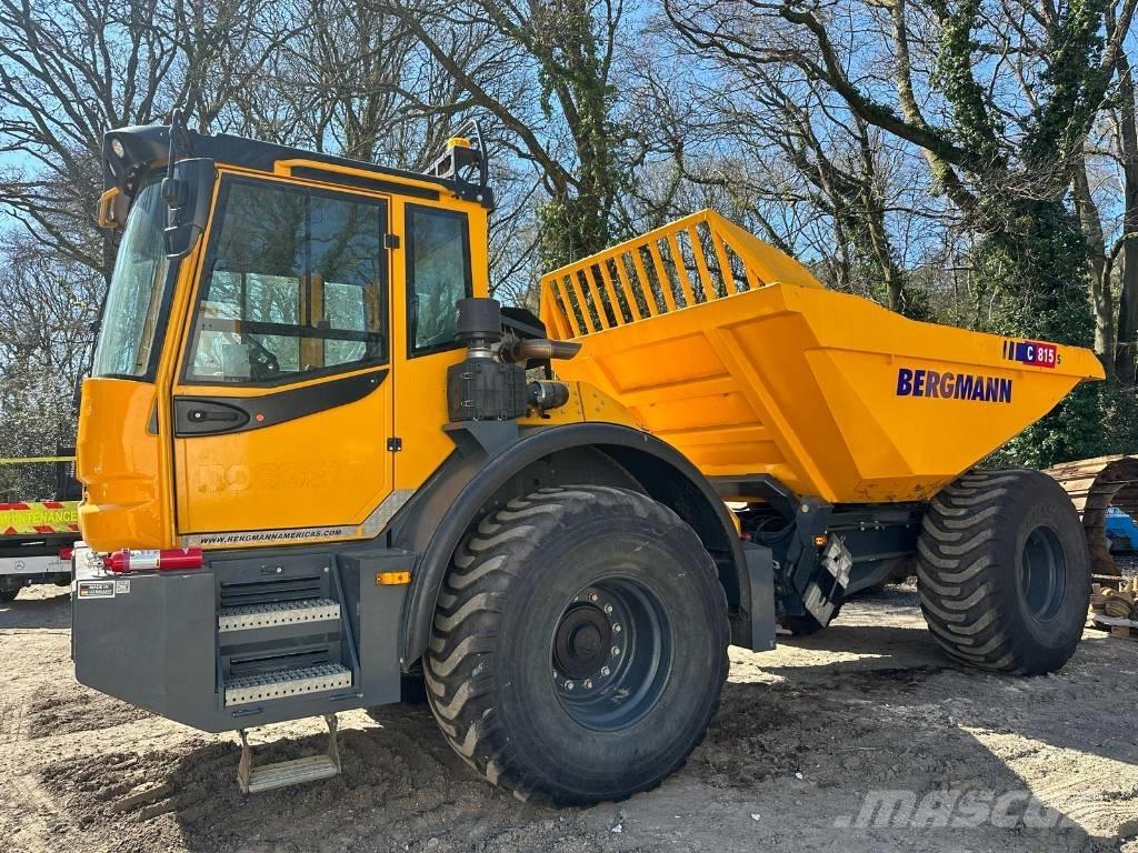 Bergmann C815S Csuklósdömperek