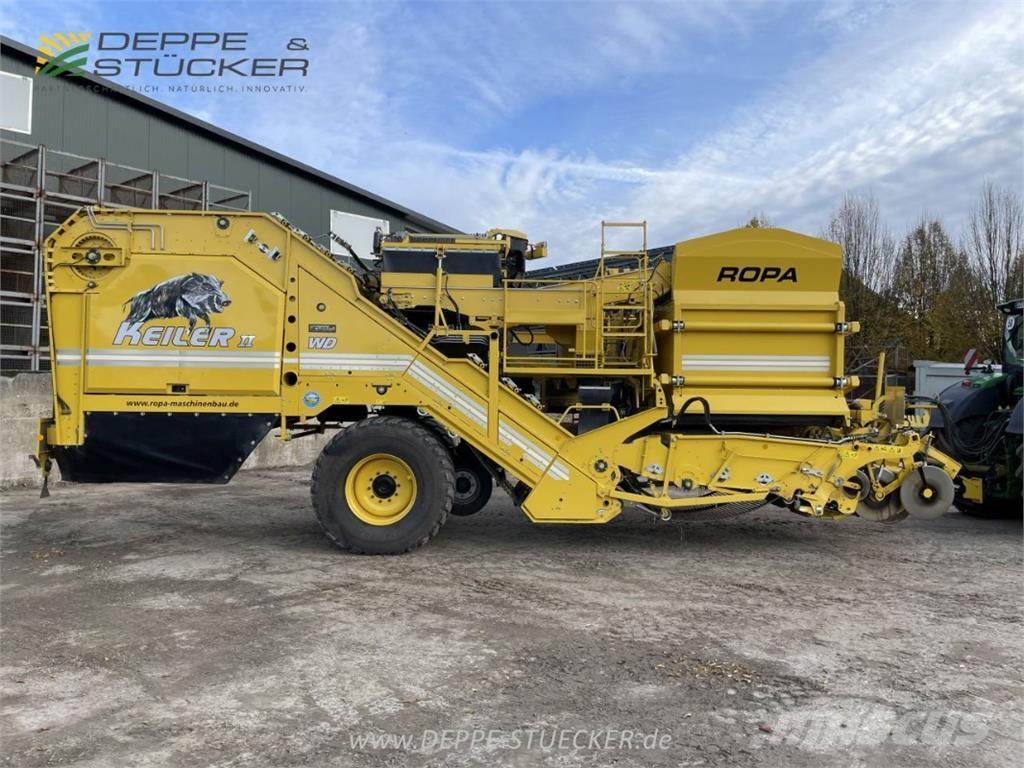 Ropa Keiler II Hagyma betakarítók