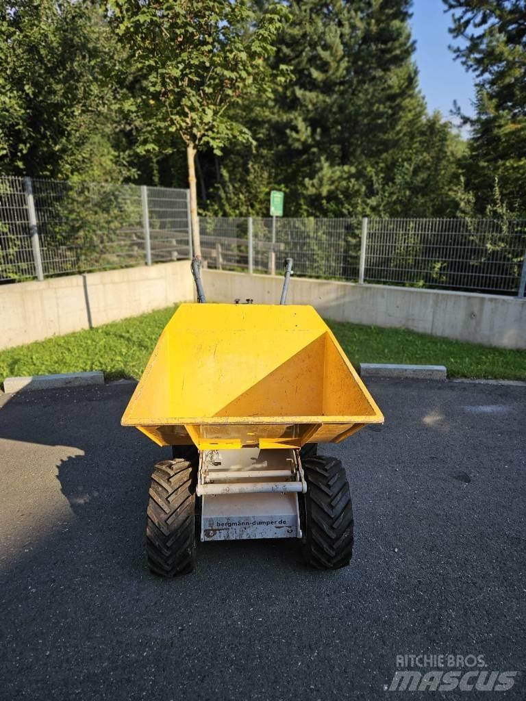 Bergmann C301S Mezei dömperek
