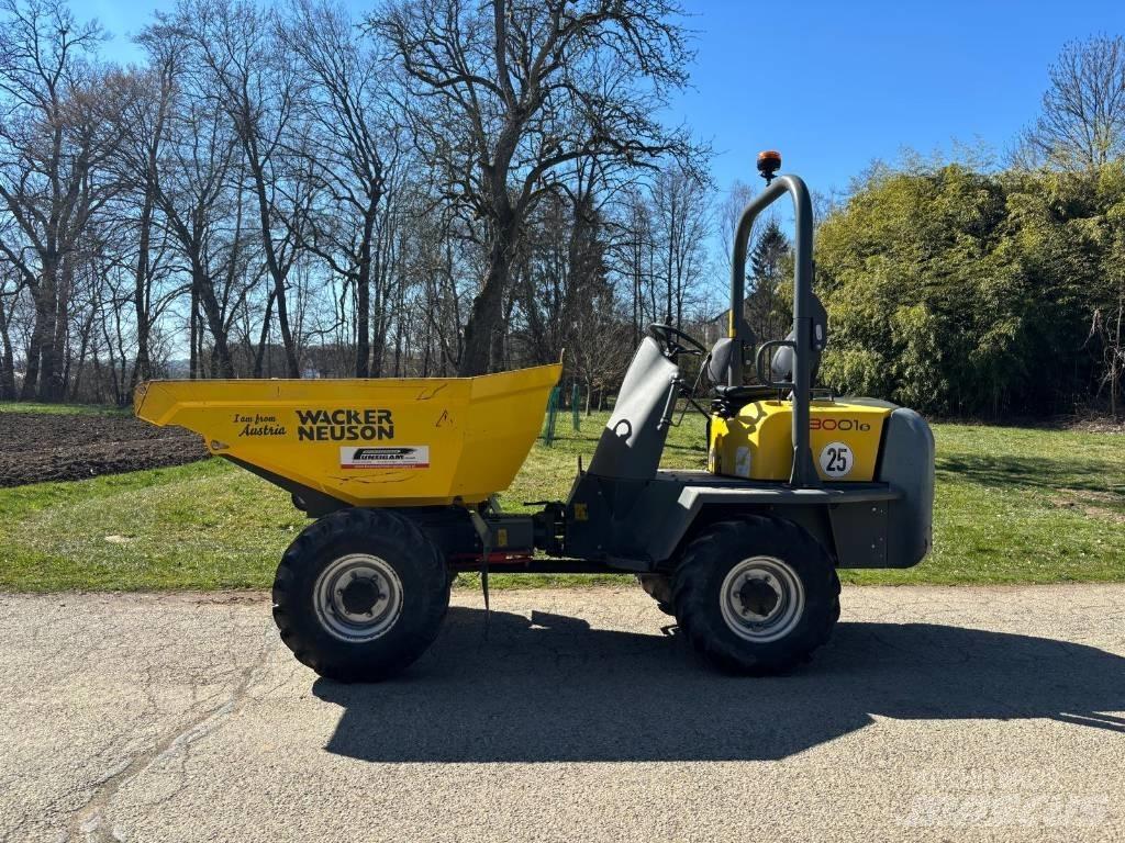 Wacker Neuson 3001 Mezei dömperek