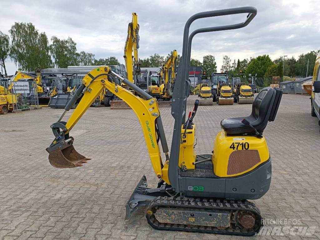 Wacker Neuson 803 Lánctalpas kotrók