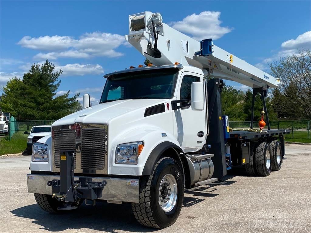 Manitex 30102 C Darus teherautók