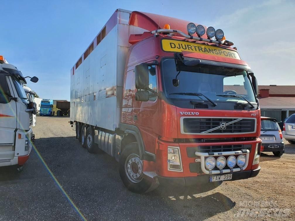 Volvo FM12 Állatszállító teherautók