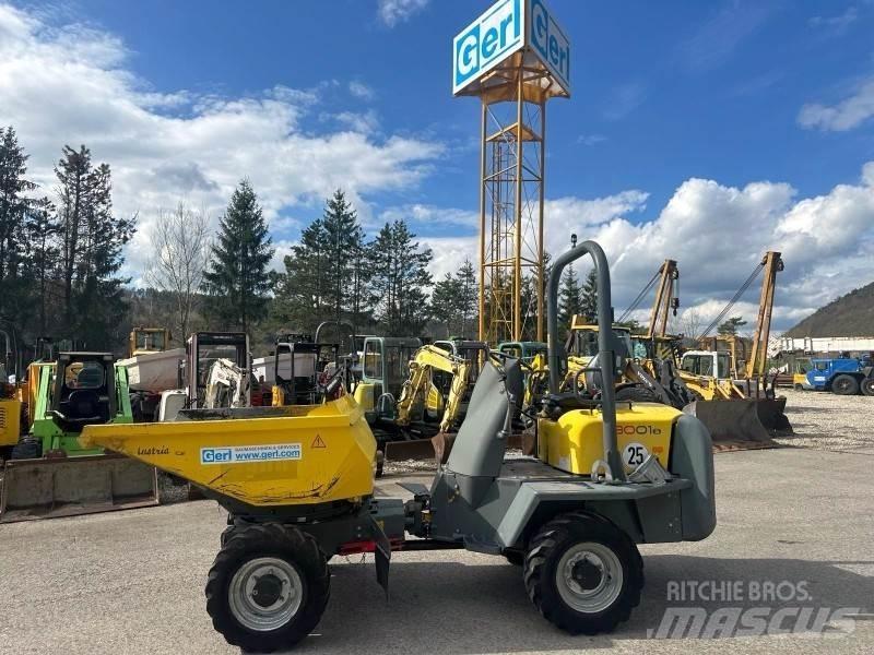 Neuson 3001 Mezei dömperek