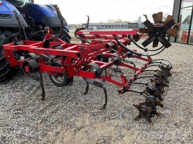  Primoplex 4M Borona