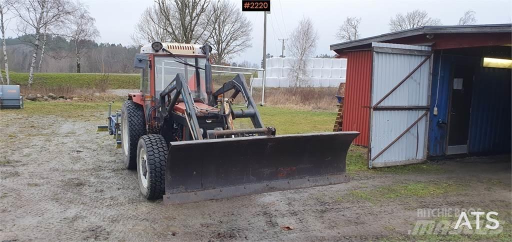  Snöblad Okänd Tolólapok