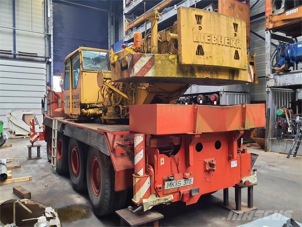 Liebherr LTM 1050 Terepdaruk