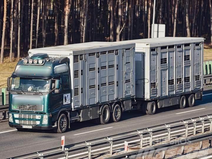 Volvo FH 12 Animal transporter Animal transport trucks