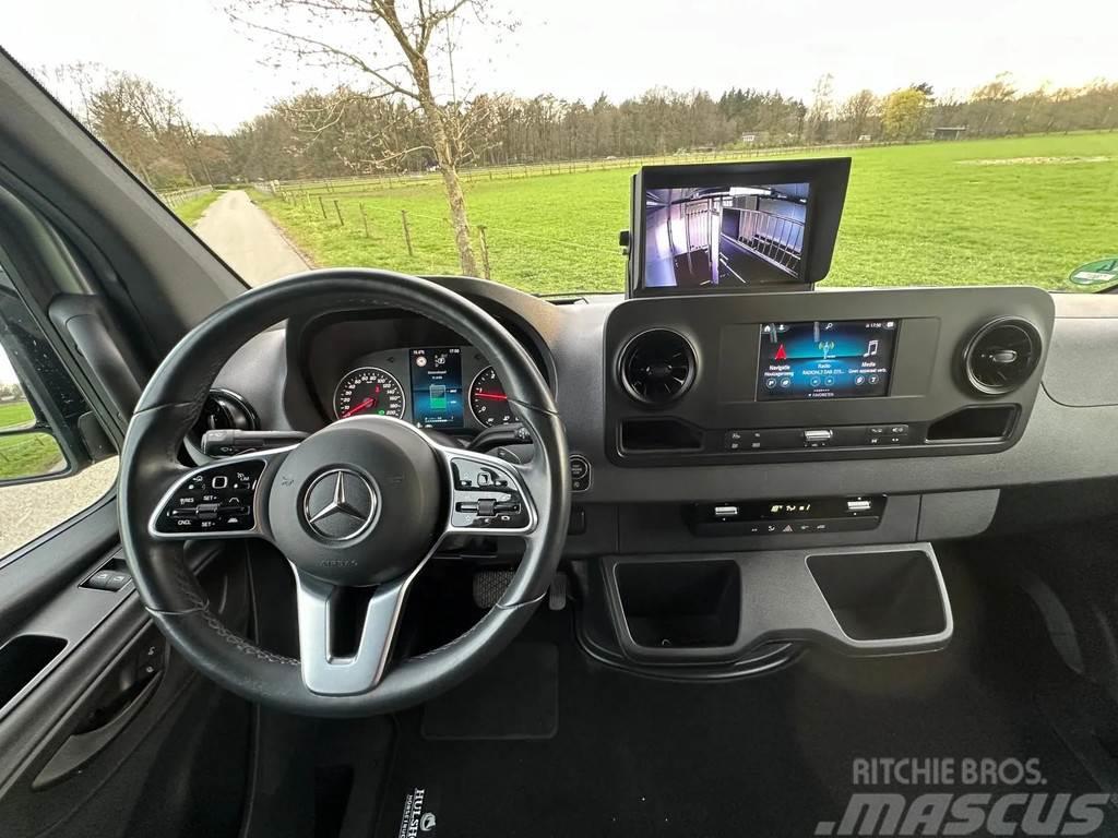 Mercedes-Benz Sprinter AMG 2-paards paardenvrachtwagen B-rijbewi Állatszállító teherautók