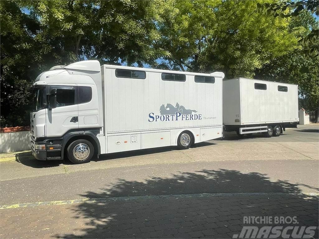 SCANIA R310 mit Spier Hänger 15 Pferde Állatszállító teherautók