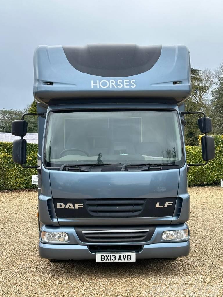 DAF LF Horsebox (2020 Build) Állatszállító teherautók