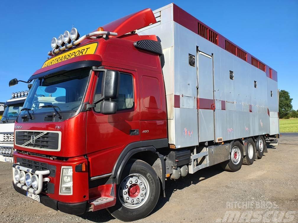 Volvo FM12 Állatszállító teherautók