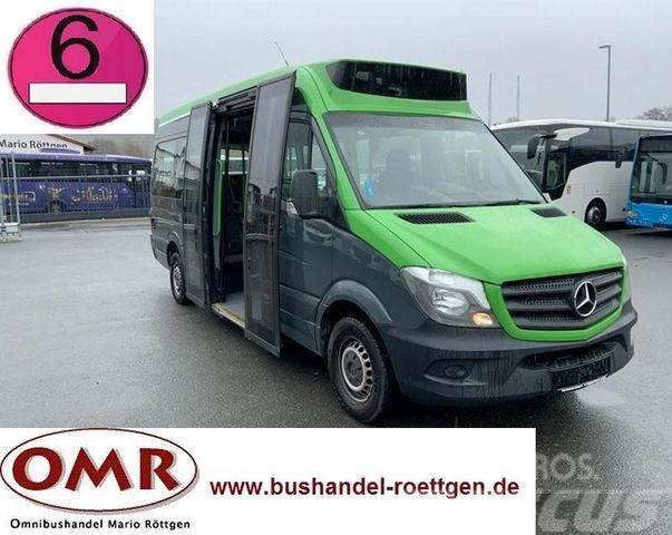 Mercedes-Benz Sprinter 314 Mobility / 316 / 514 / 516 / Rampe Mini buszok